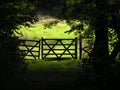 Gateway out of the woods