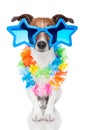 Gay Dog