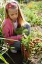 Girl In Vegetable Garden