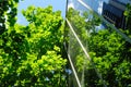 Glass Office Building With Gre...