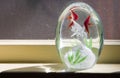 Glass Window Object