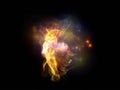 Glow Of Fractal Jellyfish