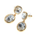 Gold plated earring studs
