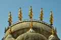 The Golden Architecture With D...