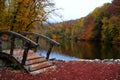 Golden Autumn