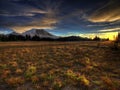 Grand Park sunset and Mt. Rainier Stock Images