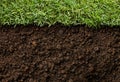 Grass And Dirt