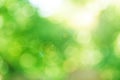 Green Background Bokeh