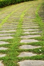Green Grass And Stones In Nature