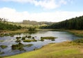 Green landscape with water stream Royalty Free Stock Images