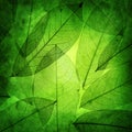 Green Leaves Vintage Background
