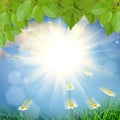 Green Nature Background