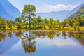 Green Nature Landscape With Mo...