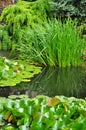 Green Nature