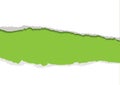 Green Torn Strip Background
