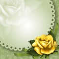 Greening cards vintage greeting with rose Royalty Free Stock Images