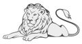 Grey Lion