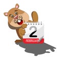 Groundhog Looking at its Shadow Behind Calendar