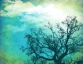 Grunge Nature Background