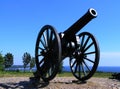 Guns of war