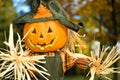 Halloween Jack-o-lanten Scarecrow - 2