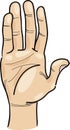 Hand Clip Art Cartoon Illustra...