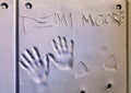 Handprints of Demi Moore