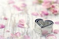 Heart Shaped Cookie Cutters On...