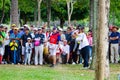 Honda LPGA Thailand 2015