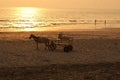 A horse cart for tourists in a beach Stock Image