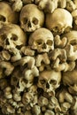 Human skulls and bones