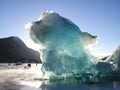 Ice berg in Mendenhall Lake