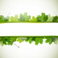 Nature Background