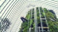 Indoor Garden And Waterfall