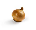 Isolated Onion