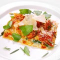 Italian Food Lasagna