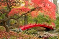 Japanese Garden And Red Bridge
