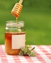 Jar Of Honey Against Nature Ba...