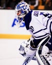 Jonas Gustavsson, Toronto Maple Leafs.