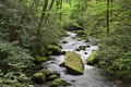 Joyce Kilmer Forest Stream