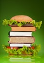 Knowledge Fast Food
