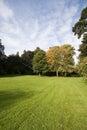 Landscape With Green Grass And...