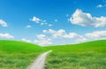 Landscape With A Road
