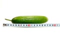 Large cucumber and a measuring tape on white