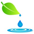 Leaf With Water Drops