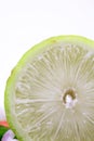 Lemon Macro