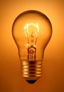 Light Bulb
