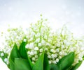 Lily-of-the-valley Flower Design