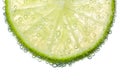 Lime Slice In Clear Fizzy Wate...