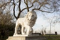 Lion Architecture